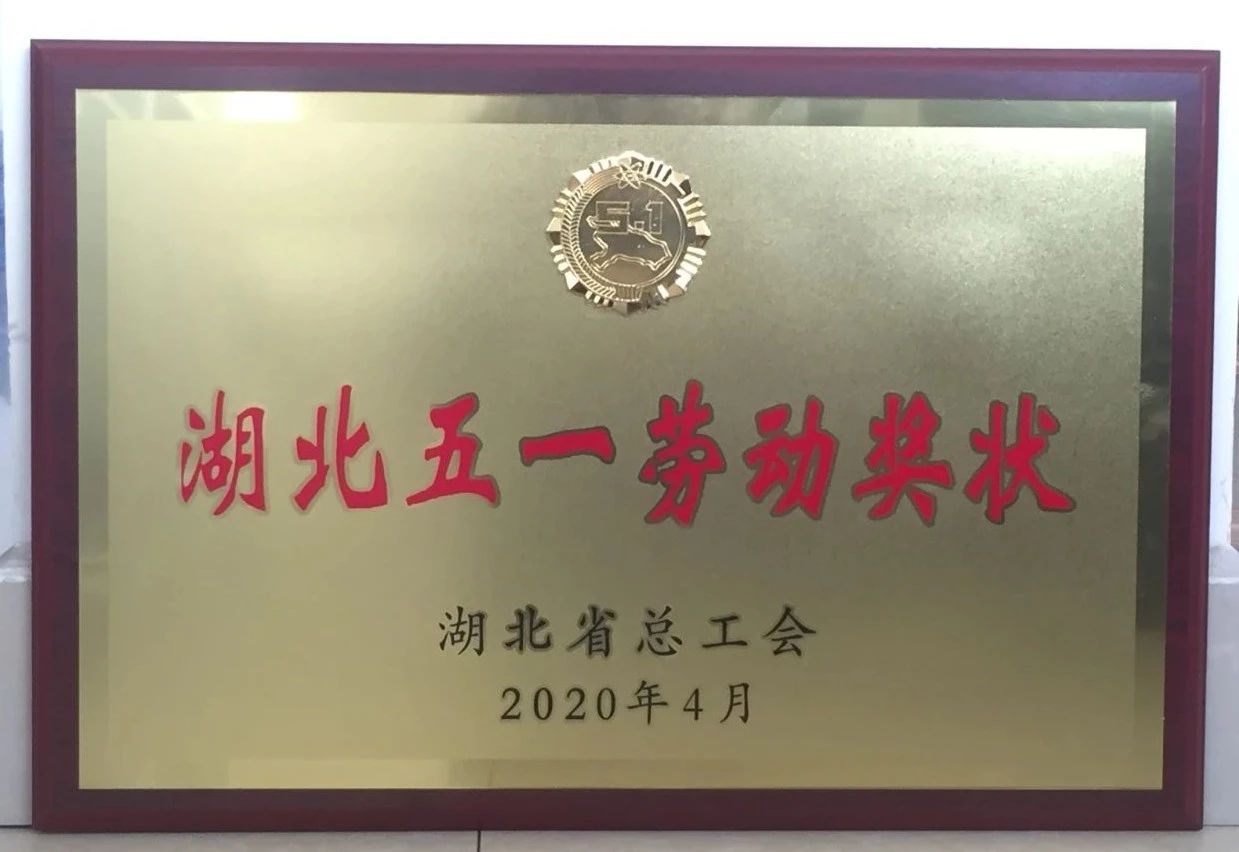 喜讯||WG网页版重工又获省级殊荣